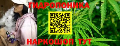 бутират Сланцы