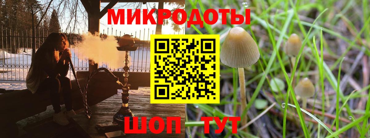Галлюциногенные грибы Psilocybine cubensis  Вход с VPN  Новосибирск 