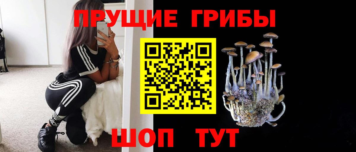 Галлюциногенные грибы мухоморы Новосибирск